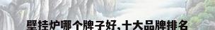 壁挂炉哪个牌子好,十大品牌排名