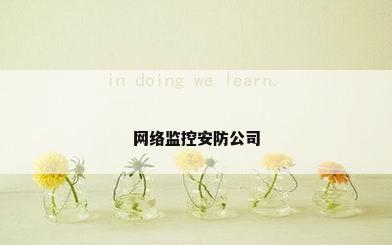 网络监控安防公司