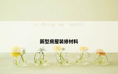 新型房屋装修材料