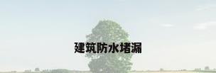 建筑防水堵漏