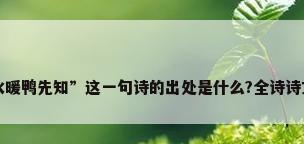 “春江水暖鸭先知”这一句诗的出处是什么?全诗诗文是什么?