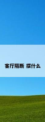 客厅隔断 摆什么