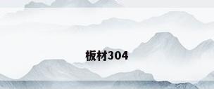 板材304