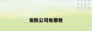 安防公司有那些